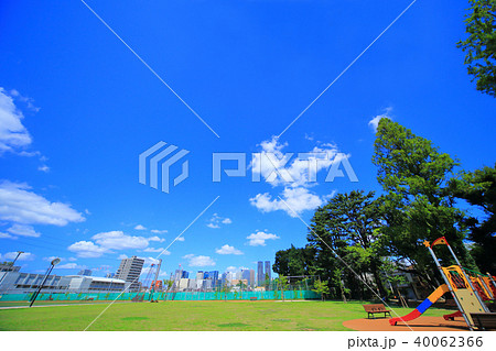 南台いちょう公園から見た新宿高層ビル 40062366