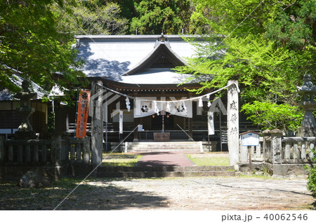 秦神社(高知県高知市長浜) 秦神社(高知県高知市長浜) 40062546