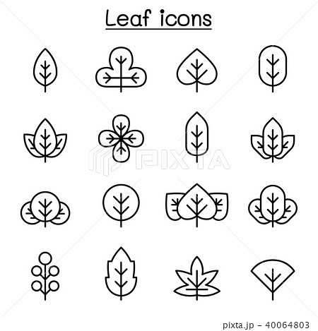 Leaf icon set in thin line style 40064803