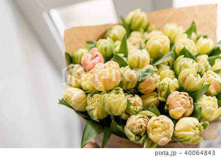 Tulips of pastel yellow color. Big buds. Floral natural backdrop. Unusual flowers, unlike the others 40064843