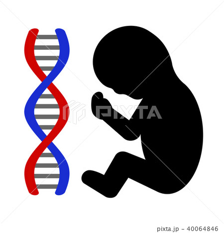 赤ちゃんとDNA 赤ちゃんとDNA 40064846