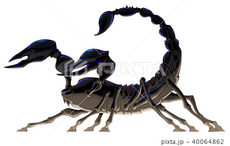 Isolated black scorpion. 40064862