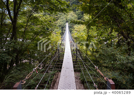 山奥の吊橋（畑薙大吊橋） 40065289