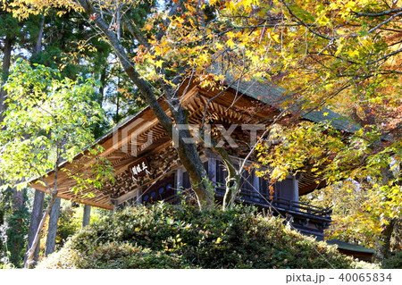 秋の印象　広徳寺 40065834