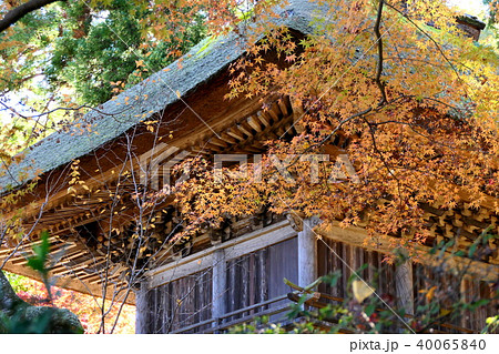 秋の印象　広徳寺 40065840