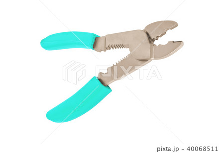 nipper isolated on a white background 40068511