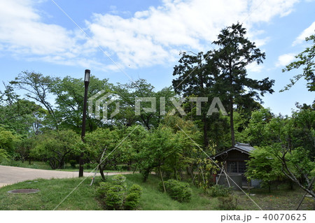 旧吉田茂邸　大磯町 40070625