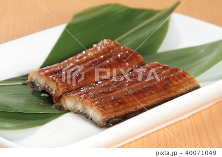 eel cuisine eel cuisine 40071049