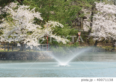 真人公園の写真素材