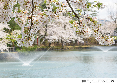 真人公園 40071139