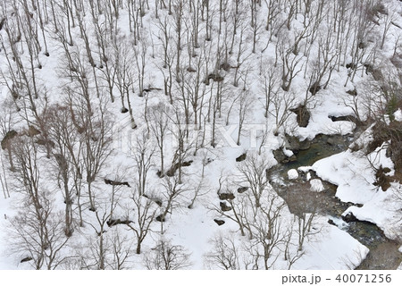 雪解けの八甲田 雪解けの八甲田 40071256