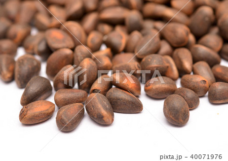 cedar nuts 40071976