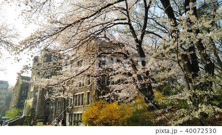 校正 大学 学校 40072530