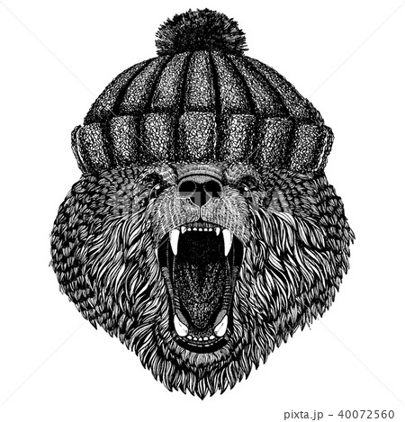 Cool bear wearing knitted winter hat. Warm headdress beanie Christmas cap for tattoo, t-shirt Cool bear wearing knitted winter hat. Warm headdress beanie Christmas cap for tattoo, t-shirt 40072560