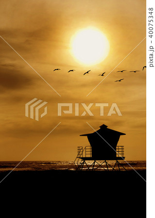 カリフォルニア、ハンティントンビーチ 40075348