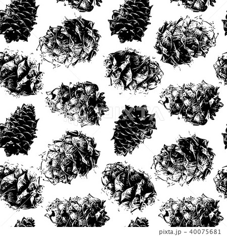 Cedar cones, seamless pattern for your design 40075681