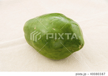 パパイヤ 40080387