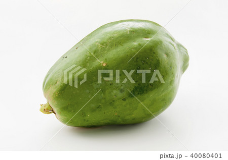 パパイヤ 40080401