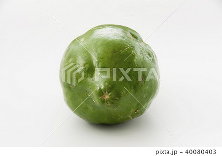 パパイヤ パパイヤ 40080403