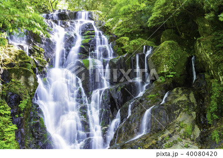 美しい白糸の滝（福岡県糸島市） 40080420