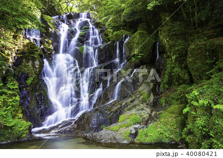 美しい白糸の滝(福岡県糸島市) 美しい白糸の滝(福岡県糸島市) 40080421