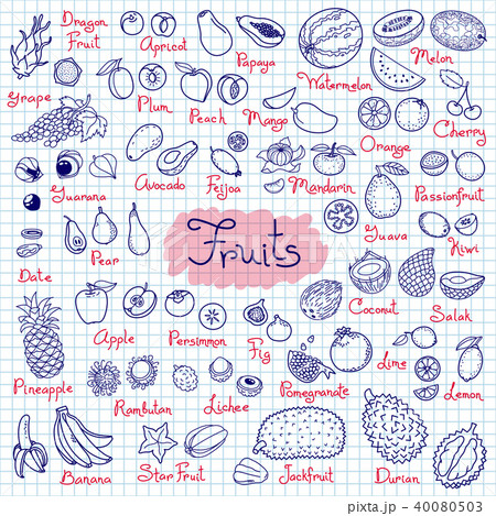 Set drawings of fruits for design menus, recipes and packages product. Vector Illustration 40080503
