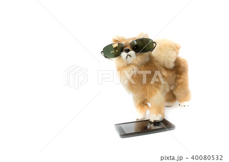 doll dog wearing sunglasses and mobile phone doll dog wearing sunglasses and mobile phone 40080532