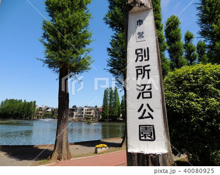 別所沼公園 別所沼公園 40080925