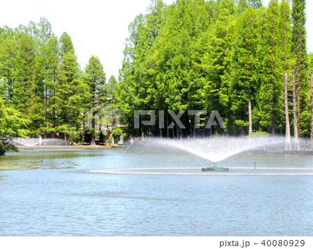 別所沼公園 別所沼公園 40080929