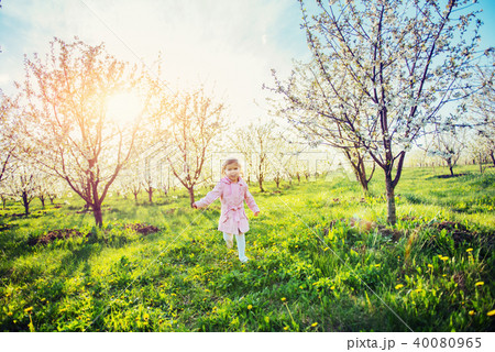 Little baby girl that runs between flowering trees at sunset. Ar 40080965