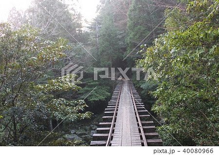 屋久島トロッコ歩道 40080966