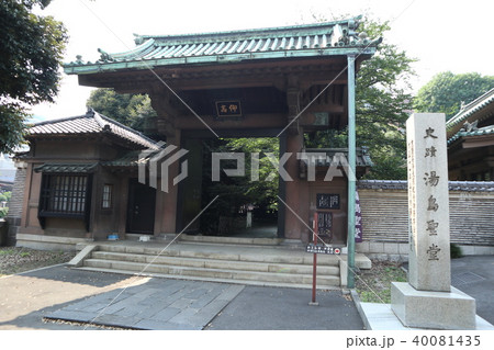 湯島聖堂 仰高門 湯島聖堂 仰高門 40081435