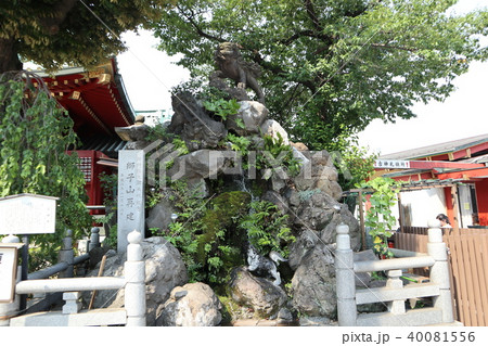 神田明神 獅子山 神田明神 獅子山 40081556