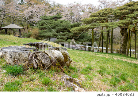 笠松公園　岩手県 40084033