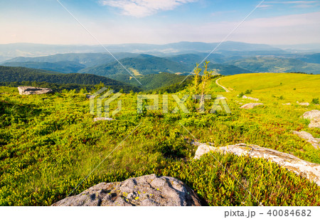 landscape in Carpathian high mountain ridge 40084682