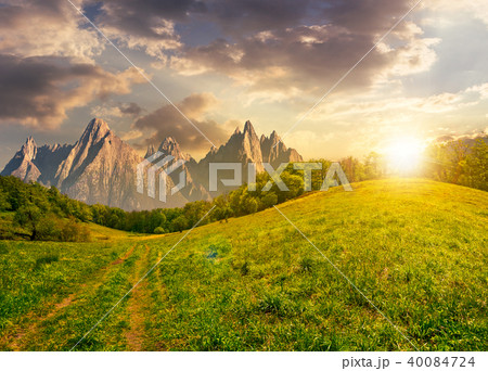 forest on grassy hillside in tatras at sunset forest on grassy hillside in tatras at sunset 40084724