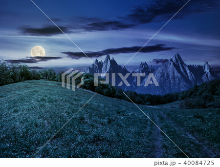 forest on grassy hillside in tatras at night 40084725