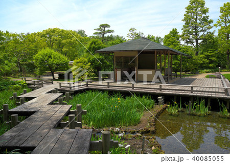 新緑の紅葉山庭園 40085055