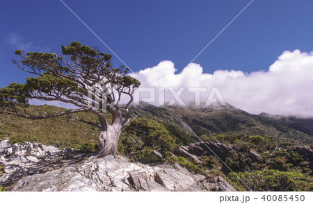 青空 青い空 ブルースカイ 40085450
