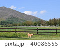 柴犬と蒜山。 40086555