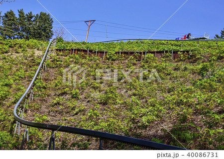 風景 鬱陵郡 慶北 40086731