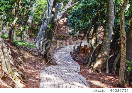 鬱陵郡 慶北 韓国 40086732