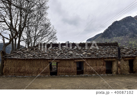 鬱陵郡 慶北 風景 40087102