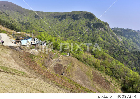 鬱陵郡 慶北 韓国 40087244