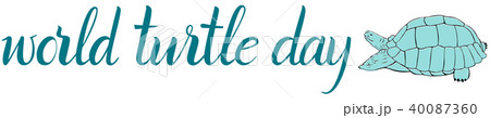 Inscription World Turtle Day and turtle 40087360