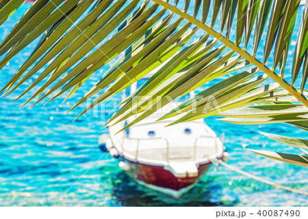 Palm tree and little boat in Maslinica, Solta Palm tree and little boat in Maslinica, Solta 40087490