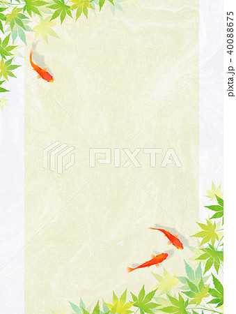金魚 和紙_黄 40088675