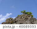 沖縄の風景④ 40089393