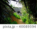 沖縄の風景⑤ 40089394