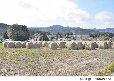 干草ロール 40089778